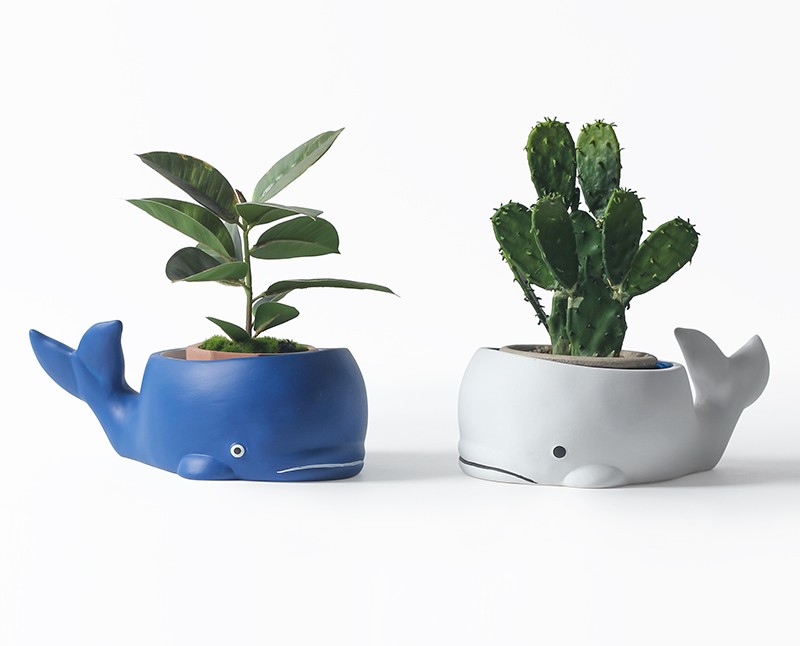 Creative Ceramic Whale Plant Flower Pot, Garden Decoration
