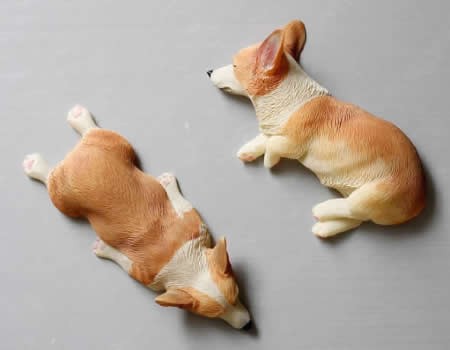 Dog  Fridge Magnets Set, Set of 4