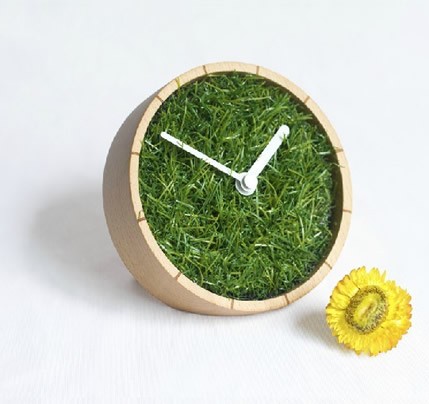 Grass Plant  Desk Clock