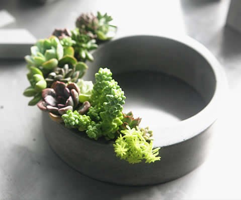 Handmade Concrete Succulent Planter Flower Pot