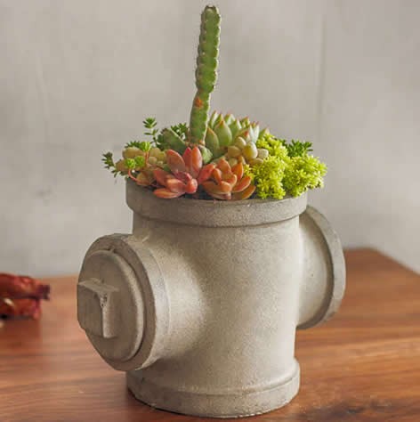 Concrete  Water Pipe  Succulent / Planter / Plant Pot / Flower Pot