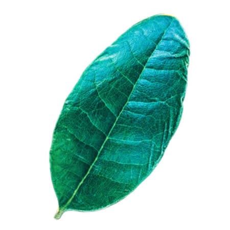 Leaf shape Soft Air Conditioning Blanket- Myrica Rubra Leaf
