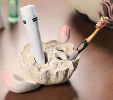 Lotus Seedpod Toothbrush Toothpaste Stand Holder 