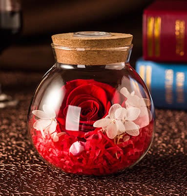 Never Withered Roses Led jar
