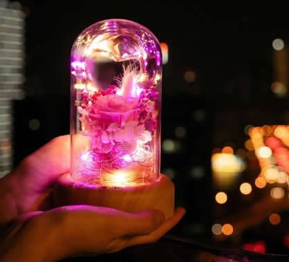  Portable LED Night Light Bottle Bluetooth Speaker 