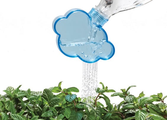 Rain Clouds Sprinkler Head