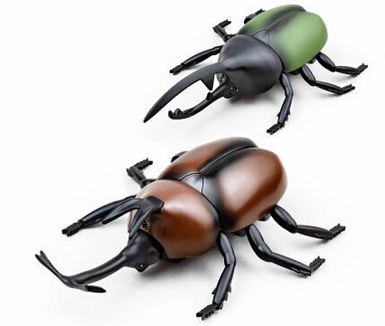 Remote Control Simulation Beetle 