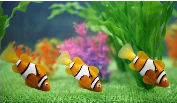 Robotic Fish