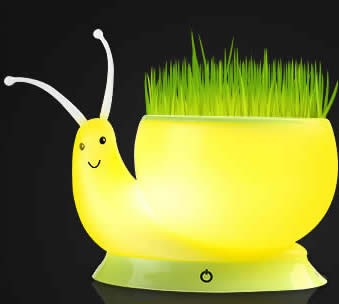 USB Rechargeable Snail LED Flower Pot  Desk Lamp