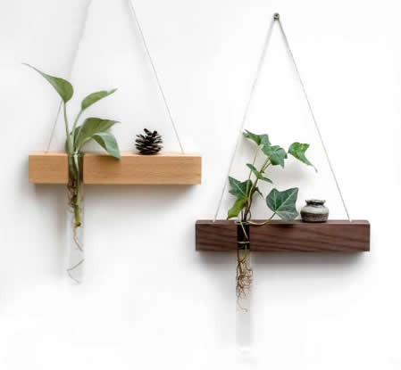 Wall Hanging Planter Test Tube Flower Bud Vase with Wood Stand