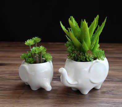 Elephant White Ceramic Succulent Planter/Plant Pot/Flower Pot,Set of 2