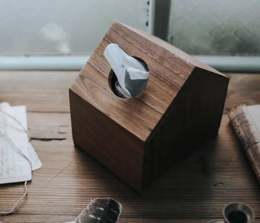 Black Walnut Wooden House Design Tissue Box