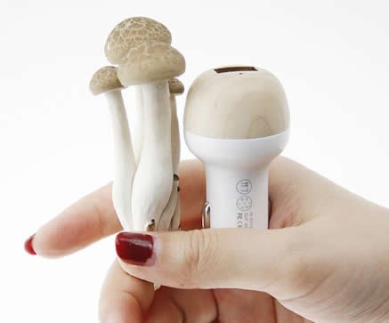 Wooden Mushroom 2.1A USB Car Charger