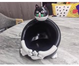 Big Painted Face Cat Storage Tray, Desktop Decoration Organezie