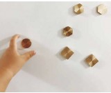 Brass Magnets for Magnetic Whiteboard and Magnetic Message Board  (6pcs / Pack)