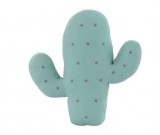 Cactus Decorative Throw Pillows