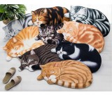 Cat Style Area Floor Mat/Rug