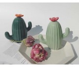 Ceramic Cactus Piggy Bank