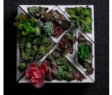 Concrete Modular Geometric Succulent Planter / Plant Pot / Flower Pot