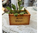 Creative Biscuit Mini Flower Pots, Fun Desktop Decoration