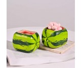 Creative Watermelon Shaped Small Flower Pot