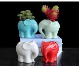 Cute Elephant Ceramic Succulent Planter Flower Pot