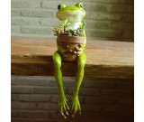 Cute Frog Succulent Planter / Plant Pot / Flower Pot / Bonsai Pot 