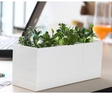 Set of 3  White Plastic Planter Set