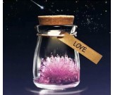 Led DIY Growing Crystal Bottle 