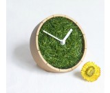 Grass Plant  Desk Clock