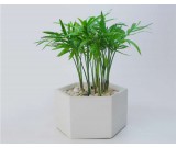 Handmade Concrete  Round  Octagonal Square Succulent  / Planter /  Plant Pot  /  Flower Pot 