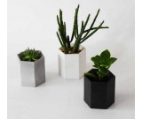 Handmade Hexagon Concrete Succulent Planter Flower Pot