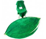 Leaf shape Soft Air Conditioning Blanket- Aspidistra Leaf