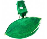 Leaf shape Soft Air Conditioning Blanket- Aspidistra Leaf