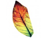 Leaf shape Soft Air Conditioning Blanket- Enchanting red leaf