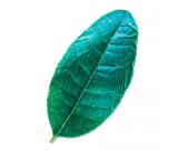 Leaf shape Soft Air Conditioning Blanket- Myrica Rubra Leaf