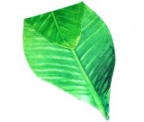 Leaf shape Soft Air Conditioning Blanket- Phrynium Leaf