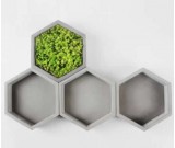 Hexagon Geometric Design Succulent Planter Pot, Gray