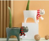 Cute Cartoon Cat Pastoral Cactus Plant Ceramic Small Flower Pot
