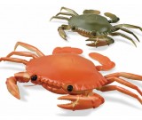 Remote Control Simulation Crab