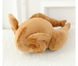 Roast Chicken Throw Pillow Back Cushion Pillow