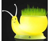 USB Rechargeable Snail LED Flower Pot  Desk Lamp