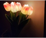 Tulip Night Light, Bedside Decorative Lamp