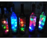 USB Powered Colorful Led String Lights in Glass Bottle