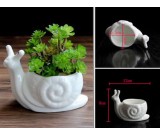 2 Pack White Ceramic  Snail Succulent Planter/Plant Pot/Flower Pot