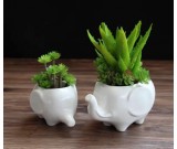 Elephant White Ceramic Succulent Planter/Plant Pot/Flower Pot,Set of 2