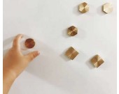 Brass Magnets for Magnetic Whiteboard and Magnetic Message Board  (6pcs / Pack)