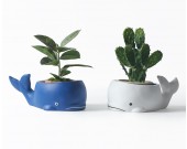 Creative Ceramic Whale Plant Flower Pot, Garden Decoration