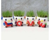 4 PCS Set Cute Cartoon Pig Ceramic Succulent Cactus Flower Potfor for Home Garden Office Desktop Decoration