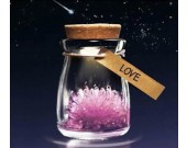 Led DIY Growing Crystal Bottle 